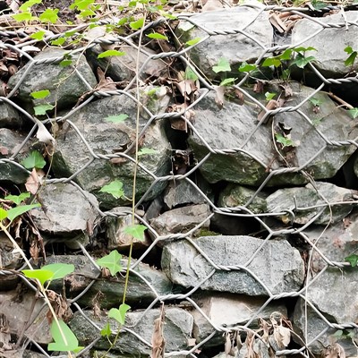 Filippinerne Galfan Coated Gabion Wire Mesh